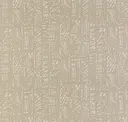 Zinc