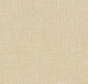 Luxurious Gold