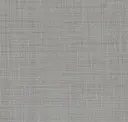 Cool Grey