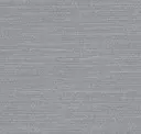 Silver Shimmer