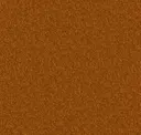 Burnt Orange