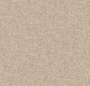 Pumice