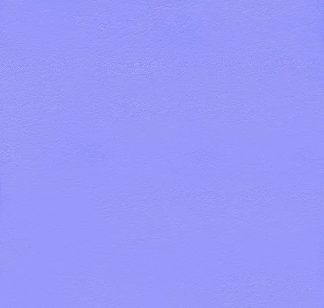 Main