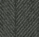 Iron