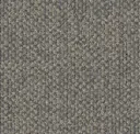Sisal