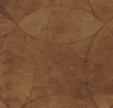 Penny