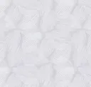 Steel