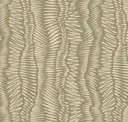 Fern