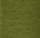 Militum