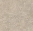 Geyser