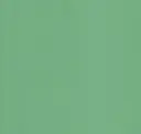 Spearmint