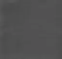 Pewter