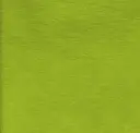 Wasabi