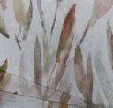 Pampas