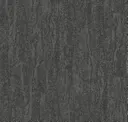 Charcoal Gneiss