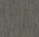 Lead Gneiss
