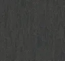 Iron Gneiss