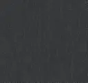 Black Gneiss
