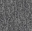 Slate Gneiss
