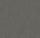 Lead Stone
