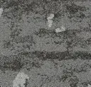 Moonglow Bark