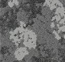 Map Rock Stone