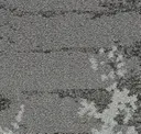 Moonglow Bark