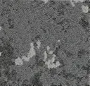 Map Rock Stone