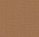 Cocoa