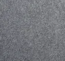 Iron