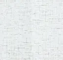 Neutral White
