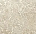Plaster