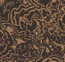 Tiger Eye Eco