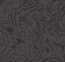 Charcoal Eco