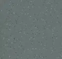 Iron
