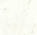 Calacatta Prestigio