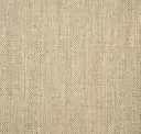 Desert Sand
