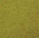 Citrus