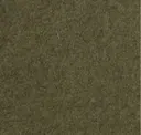 Moss