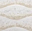 Cream Ombre