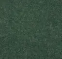 Topo Green