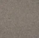 Tonal Taupe