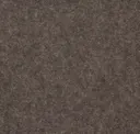 Bark