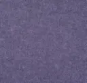 Dried Lavender