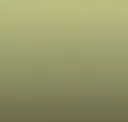 Vertical Gradient  (pistachio)