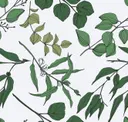 Cut Stems (color)