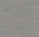 Gray Seal