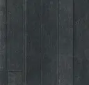 Obsidian