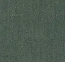 Spruce