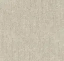 Parchment